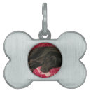 Search for mutts pet supplies Puppy