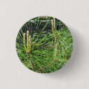 Search for needle badges Pine