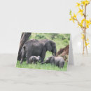 Search for endangered animals cards Elephant