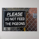 Search for feed posters Bird