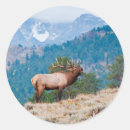 Search for cervus stickers Autumn