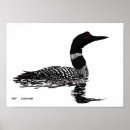 Search for loon posters Wildlife