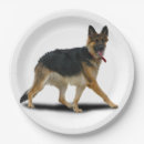 Search for german shepherd photography Animals