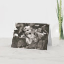 Search for groundhog day cards Shadow