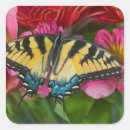 Search for fuchsia flower stickers Yellow