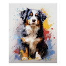 Search for bernese mountain dog puppy posters Colourful