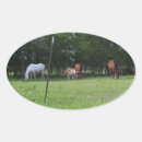 Search for equine stickers Pony