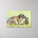 Search for marmot art Woodchuck