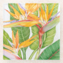 Search for exotic coasters Flowers