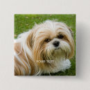 Search for dog photo badges Baby