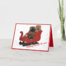 Search for dash in cards Fun