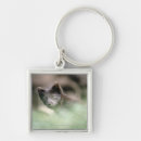 Search for black wolf key rings Animal