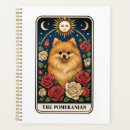 Search for funny pomeranian office school Animal