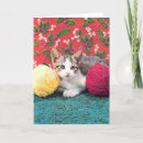 Search for yarn cards Vintage