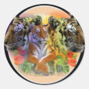 Search for tiger print stickers Feline
