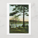 Search for chestnut postcards Lantern