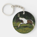 Search for in the paint key rings Horse