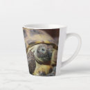 Search for tortoise mugs Cute