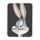 Search for bugs bunny magnets Looney tunes