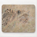 Search for dangerous animals electronics Africa