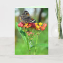 Search for butterfly mothers day cards Flower