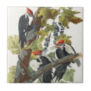 Search for audubon tiles John james audubon