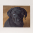 Search for labrador puzzles Cute