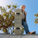 Search for bricks skateboards Pattern