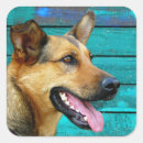 Search for love puppy stickers German shepherd