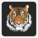 Search for tiger eyes stickers Face