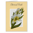 Search for catholic sympathy cards Mass