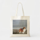 Search for sheltie bags Collie