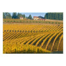 Search for pinot posters Agriculture