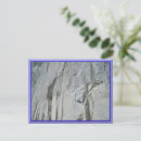 Search for mountainous postcards Colorado