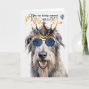 Search for wolfhound Pets