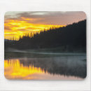 Search for cathy mousepads Colorado