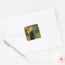 Search for red squirrel stickers Woodland
