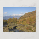 Search for ashes postcards England
