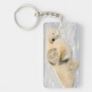 Search for carnivorous key rings Bear