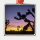 Search for back christmas tree decorations Usa
