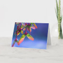 Search for seeding cards Tree