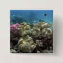 Search for scuba diving badges Sea