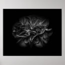 Search for black and white pattern posters Flowers