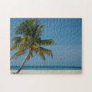 Search for barrier reef puzzles Belizean