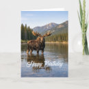 Search for wilderness birthday cards Forest