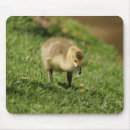 Search for geese mousepads Baby