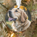 Search for pet loss christmas tree decorations Sympathy