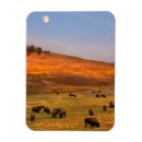 Search for grazing magnets Outdoors
