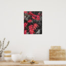 Search for red maple leaf posters Nature photography