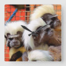 Search for monkey clocks Cute